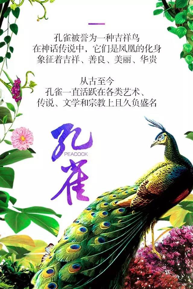 【915-918邵陽(yáng)秋季車(chē)展】鳳臨枝頭，雀雀雀雀雀實(shí)驚艷！