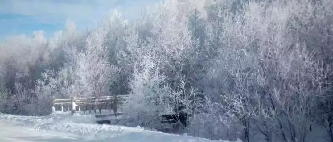 奕行記|奕路向北，駛向雪國(guó)阿爾山