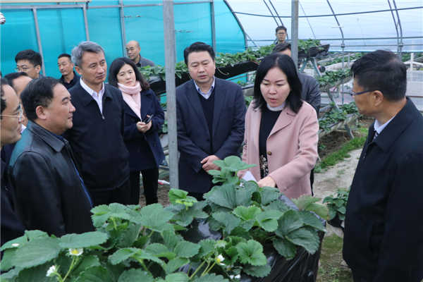 “質量興農(nóng)萬里行”陜西站活動花落安康、走進漢濱、風起陽晨